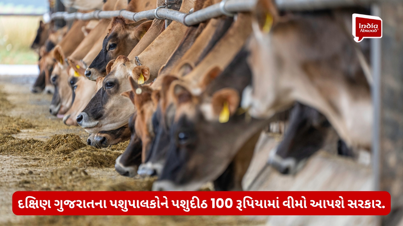 દક્ષિણ ગુજરાતના પશુપાલકોને પશુદીઠ 100 રૂપિયામાં વીમો આપશે સરકાર.